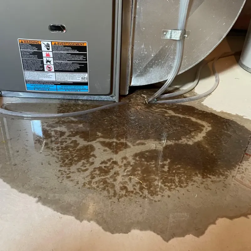 Appliance Leak Cleanup in Russell, KY